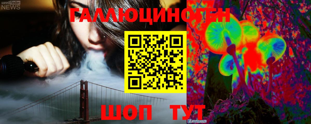 Кинель  Псилоцибиновые грибы мухоморы  Вход с VPN 